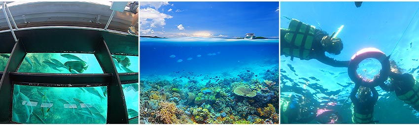 綠島浮潛-潛水者的天堂